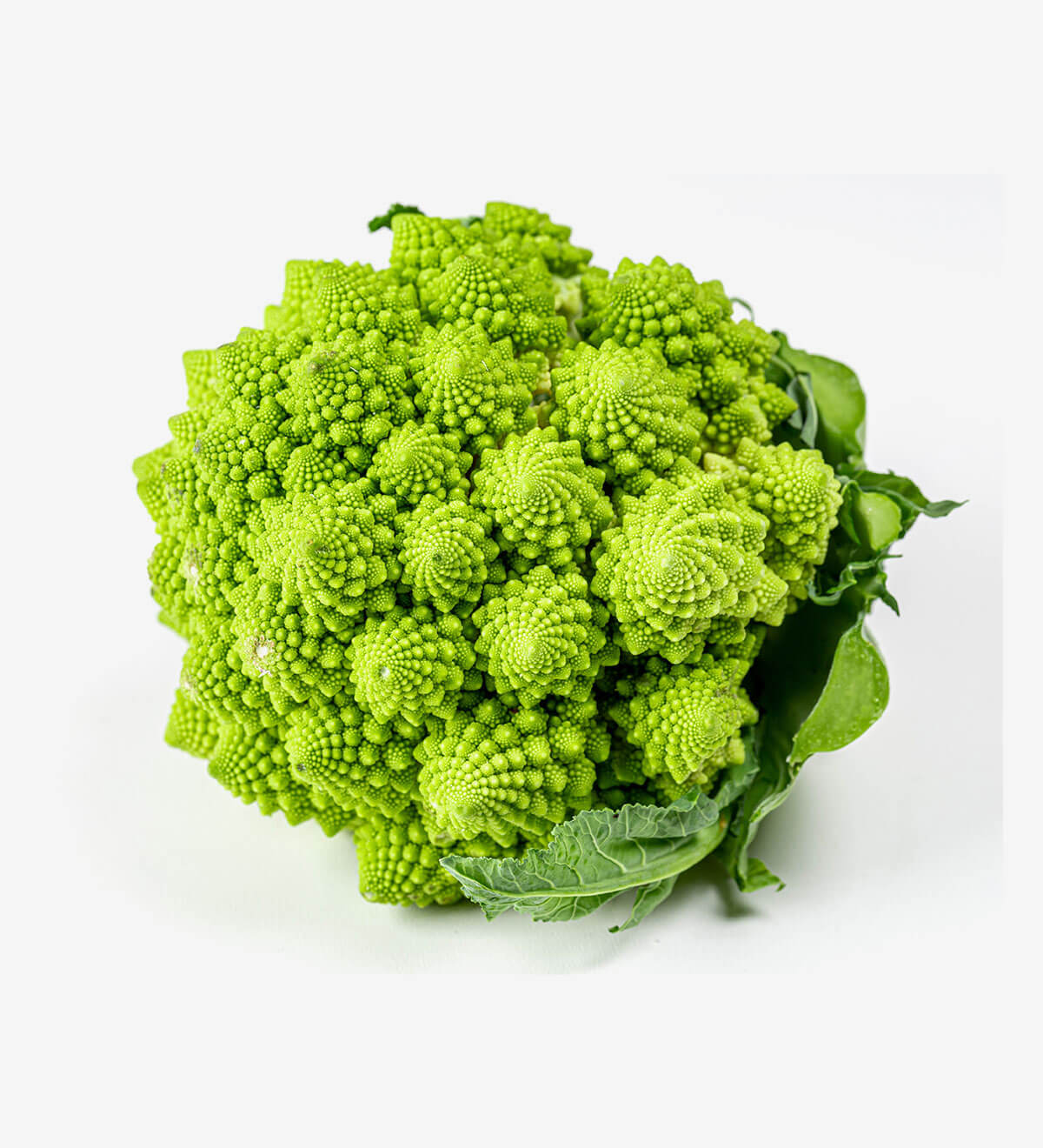 Romanesco Broccoli Raproex